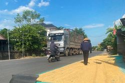 Biến lòng đường thành sân phơi lúa: Nguy cơ mất an toàn giao thông