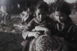 Một thời đi học
