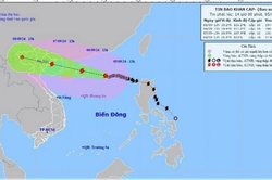Bốn sân bay tạm ngừng tiếp thu máy bay