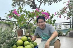 Trọng Tấn hái bưởi trước khi bão về, diễn viên 'Những nẻo đường gần xa' đính hôn