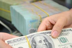 Tỷ giá USD hôm nay 6/9/2024: Giảm mạnh trước khi Fed cắt giảm lãi suất