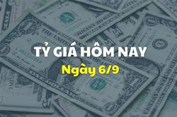 Tỷ giá hôm nay 6/9: Giá USD giảm mạnh xuống dưới 25.000 VND/USD