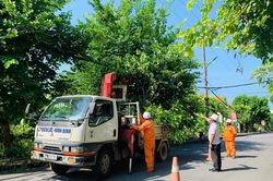 Điện lực miền Bắc sẵn sàng các phương án phòng chống bão Yagi