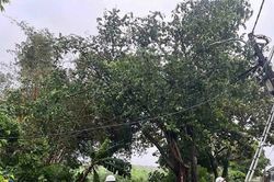 EVN Hà Nội vẫn duy trì lưới điện, không có chuyện ngừng cung cấp dịch vụ