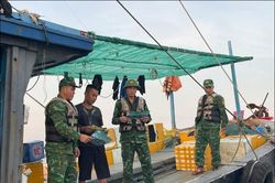 Thượng tướng Trịnh Văn Quyết chỉ đạo hoạt động công tác Đảng, công tác chính trị trong ứng phó, khắc phục hậu quả bão số 3