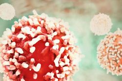 Nga hoàn tất thử nghiệm tiền lâm sàng vaccine chống ung thư