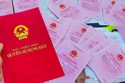 Các trường hợp phải đăng ký biến động đất đai