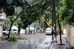 Hải Dương có hơn 500.000 khách hàng bị mất điện do bão số 3 Yagi