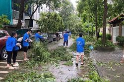 Thanh niên Thủ đô tích cực khắc phục hậu quả do bão số 3 gây ra