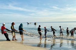 Thả lưới rùng quây cá ngát