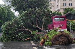 Chào tuần mới: Khi bão đi qua…