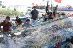 Ngư dân Nghệ An phấn khởi ra khơi sau bão số 3