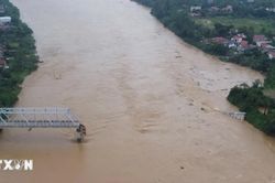 Cầu Phong Châu ở đâu, xây dựng khi nào, có trọng tải bao nhiêu tấn?