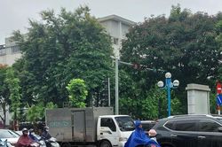 Dự báo thời tiết ngày mai 10/9/2024: Vùng núi, trung du Bắc Bộ, Bắc Trung Bộ mưa lớn, có nơi trên 350mm