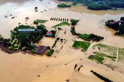 Tuyên Quang, Hòa Bình: Khẩn trương di dời các hộ dân khỏi khu vực nguy hiểm
