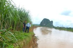 Ảnh hưởng bão số 3, huyện Anh Sơn sạt lở bờ sông Lam nghiêm trọng