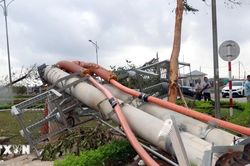 Quảng Ninh: Tạm đình chỉ chức vụ Giám đốc Điện lực Hạ Long