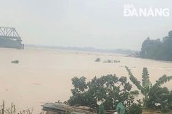 Ủy ban Mặt trận Tổ quốc Việt Nam thành phố kêu gọi ủng hộ đồng bào các tỉnh phía Bắc khắc phục hậu quả thiên tai