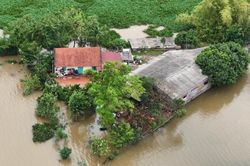 Hà Nội: Phát lệnh báo động lũ trên sông Cầu, sông Bùi trong đêm