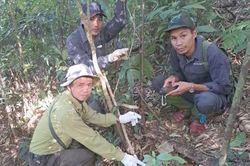 'Khắc tinh' thợ săn dưới tán rừng già