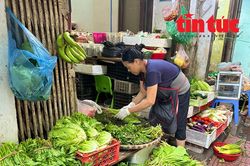 Giá rau củ, gạo tại các 'chợ cóc' ở Hà Nội tăng 'phi mã' trong sáng 11/9