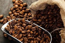 Giá cà phê hôm nay 12/9/2024: Tăng nhẹ 100 đồng/kg
