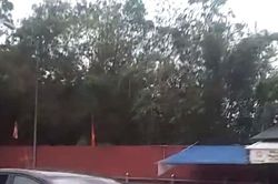 Xe ô tô đi ngược chiều trên cầu vượt Cửa Nam (TP Vinh)