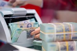 Kho bạc Nhà nước liên tiếp thu mua USD