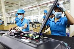 Hai mặt hàng nhập khẩu tỷ USD trong nửa cuối tháng 8/2024