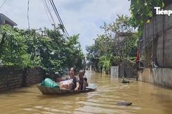 Trong biển nước ngoại thành, người dân 'sơ tán' đàn lợn lên tầng 3 tránh lũ