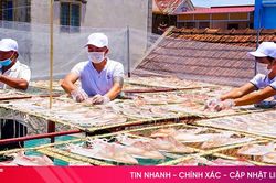 Nông dân Cẩm Nhượng kể chuyện làm giàu từ mực khô