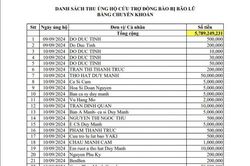 Link tải bảng sao kê ủng hộ đồng bào của TP. Hồ Chí Minh