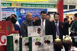 Thuận theo tự nhiên để phát triển