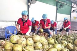 Mỹ 'đặc biệt quan tâm' đến nông sản Việt