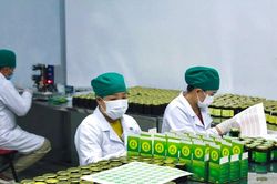 Nghệ An tăng thêm 30 hợp tác xã, 150 tổ hợp tác vào năm 2030