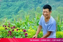 'Quả ngọt' nông thôn mới Ân Phú