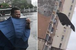 Video bão Bebinca đổ bộ Thượng Hải (Trung Quốc): Gió giật tung cả mảng tường lớn