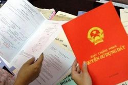 Sổ đỏ cấp sai mục đích sử dụng đất sẽ được đính chính hay bị thu hồi?