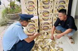 Xe tải ngang nhiên vận chuyển hàng ngàn bánh bông lan sầu riêng nhiều 'không'