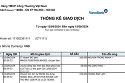Link tải sao kê của MTTQ Việt Nam ngân hàng Vietinbank CT1111 ngày 13/9 đến 15/9/2024