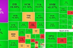 Khối ngoại mua mạnh một mã chứng khoán, SSB tăng trần từ vùng đáy 3 năm