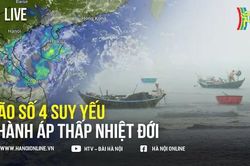 LIVE Bão số 4 suy yếu thành áp thấp nhiệt đới, gây mưa lớn