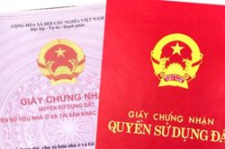 Quy định về cấp Giấy chứng nhận quyền sử dụng đất cho tổ chức theo Luật Đất đai 2024