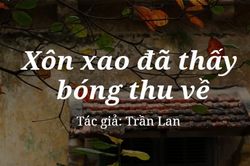 Tản văn hay: Xôn xao đã thấy bóng thu về