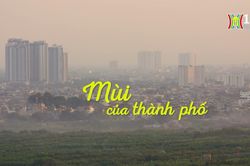 Hương thu Hà Nội