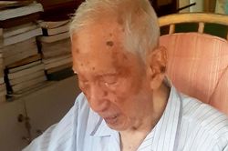 Vĩnh biệt nhà nghiên cứu Nguyễn Đình Đầu: Một 'sứ giả' lịch sử
