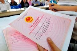 'Khai thông' bảng giá đất, ngành thuế TPHCM giải quyết 1.800 hồ sơ/ngày