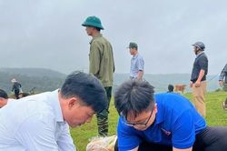 Tuổi trẻ Đắk Nông trồng 20.000 cây xanh ba lá