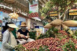 Doanh nghiệp liên kết mở rộng vùng nguyên liệu, kênh phân phối