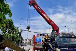 Tháo 'mạng nhện', cắt bỏ 'chướng ngại vật' cho tuyến đường Lê Hồng Phong (TP. Vinh)